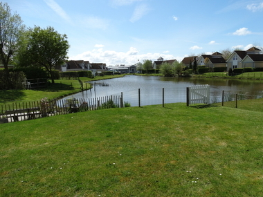 Blick auf Garten und Teich